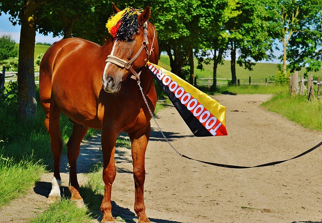 的无与伦比 的无与伦比