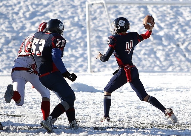 疑是巨大的 疑是巨大的