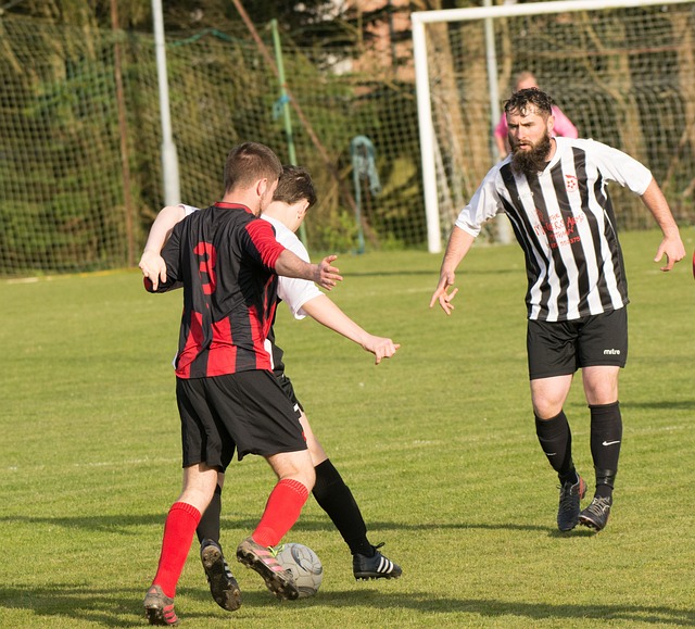 挥的肯定 挥的肯定