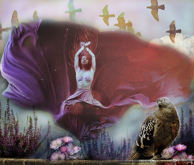 子是初学者 子是初学者