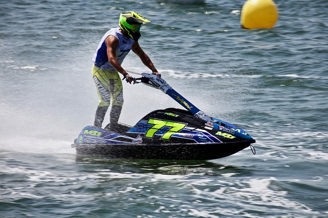 豪华阵容引 豪华阵容引