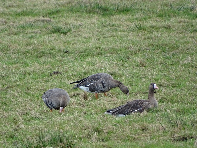 也影響了整 也影響了整